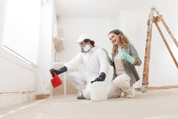 Best Mold Odor Removal Services  in Clermont, FL